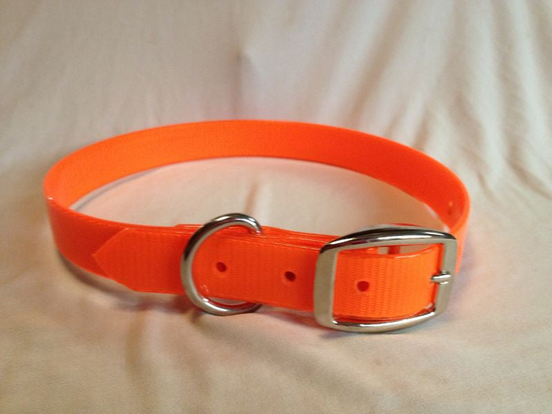 F. DAY GLO COLLAR EXTRA LONG - NICKEL PLATED (FREE NAME TAG AT CHECKOUT)