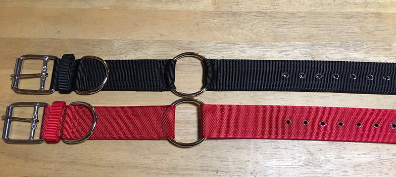 S. NYLON 2 INCH COLLAR WITH BOTH C AND D RING (FREE NAME TAG AT CHECKOUT)