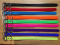 E. DAY GLO COLLAR SHORT - NICKEL PLATED (FREE NAME TAG AT CHECKOUT)