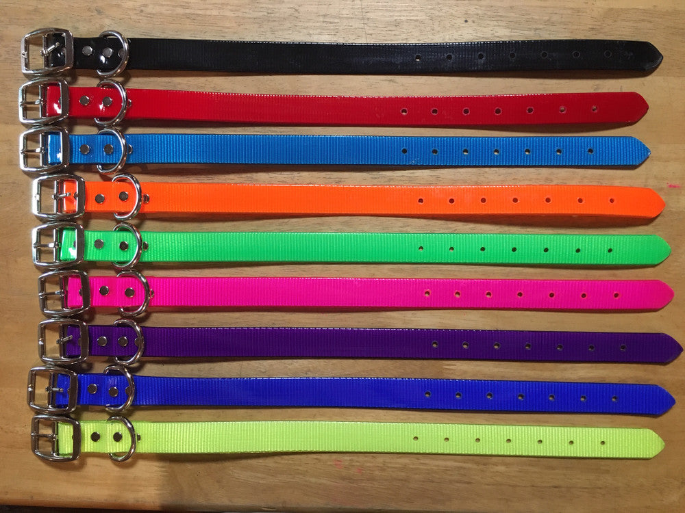 E. DAY GLO COLLAR SHORT - NICKEL PLATED (FREE NAME TAG AT CHECKOUT)