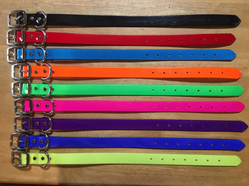 E. DAY GLO COLLAR SHORT - NICKEL PLATED (FREE NAME TAG AT CHECKOUT)