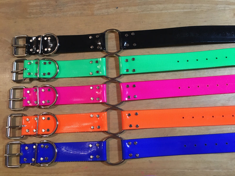 P. 2 INCH BIOTHANE COLLAR WITH BOTH C AND D RING (FREE NAME TAG AT CHECKOUT)