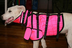A. GUARDIAN VEST