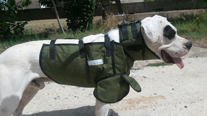 A. GUARDIAN VEST