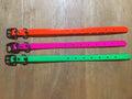 M. 3/4" DAY GLO PUPPY OR SMALL DOG COLLAR (FREE NAME TAG AT CHECKOUT)