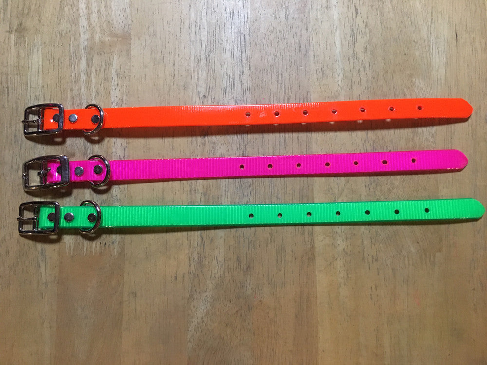 M. 3/4" DAY GLO PUPPY OR SMALL DOG COLLAR (FREE NAME TAG AT CHECKOUT)