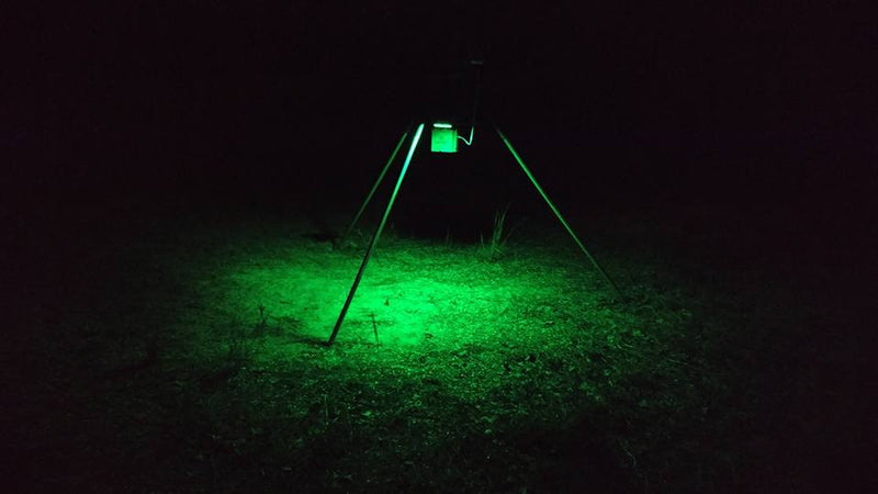 FEEDER LIGHT - SPORTSMAN Solar Powered Motion Activated Feeder Light (Green)