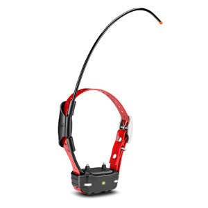 TB 10 Dog Device