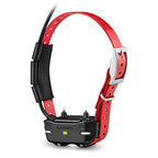 TB 10 Dog Device