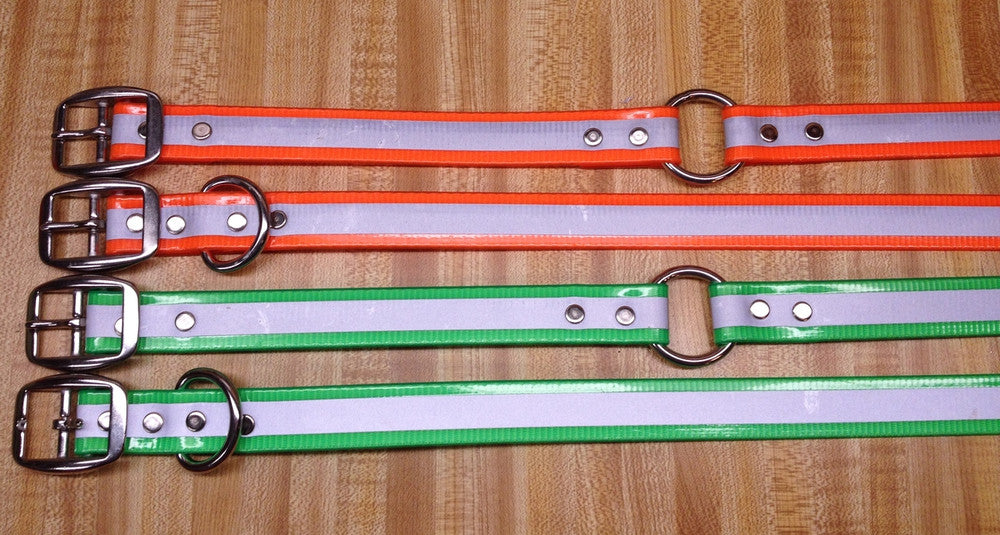 I. 1 INCH REFLECTIVE DAY GLO COLLAR - STAINLESS (FREE NAME TAG AT CHECKOUT)